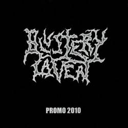 Blustery Caveat : Promo 2010